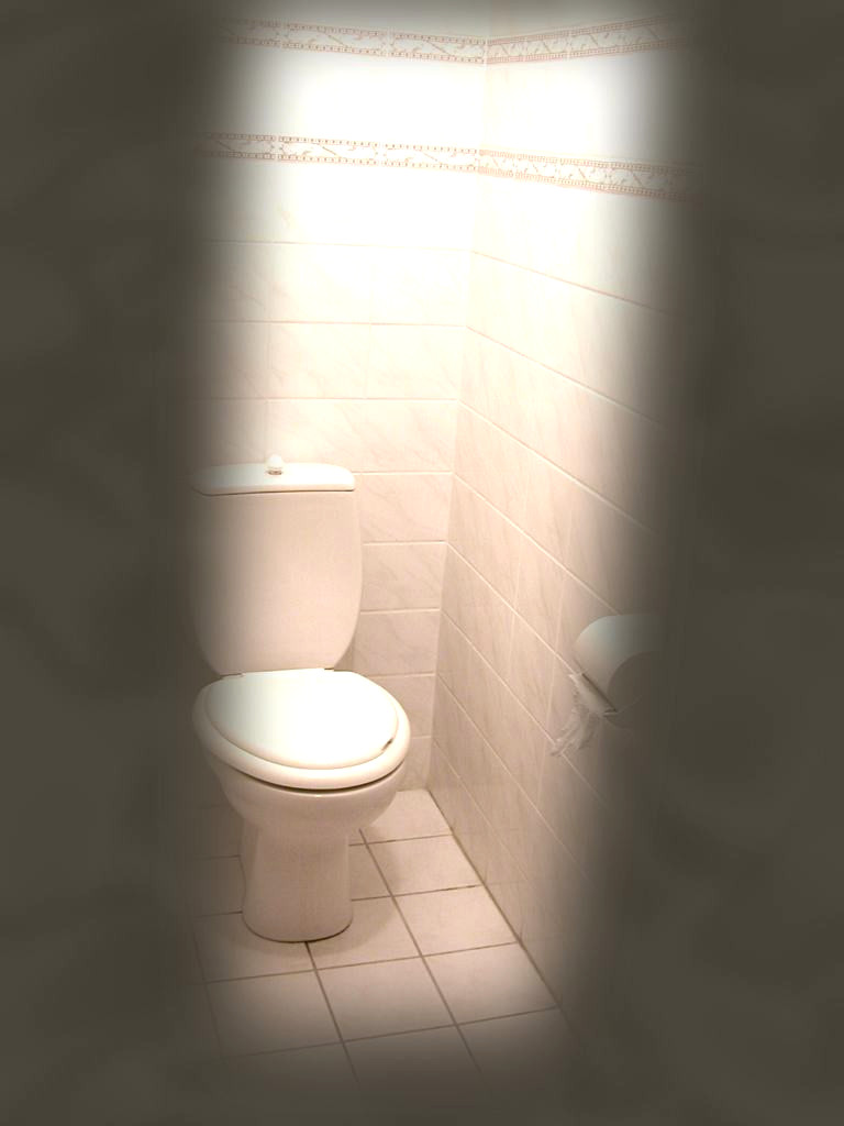 peeping toilet tom voyeur